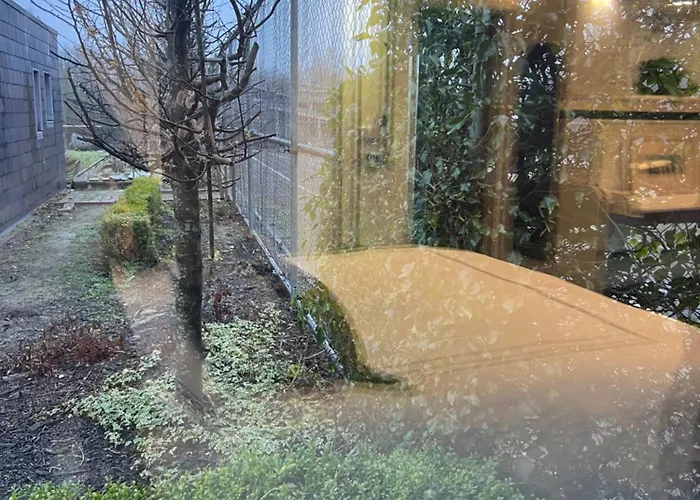 アパート Jackie's Place